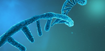 oligonucleotide